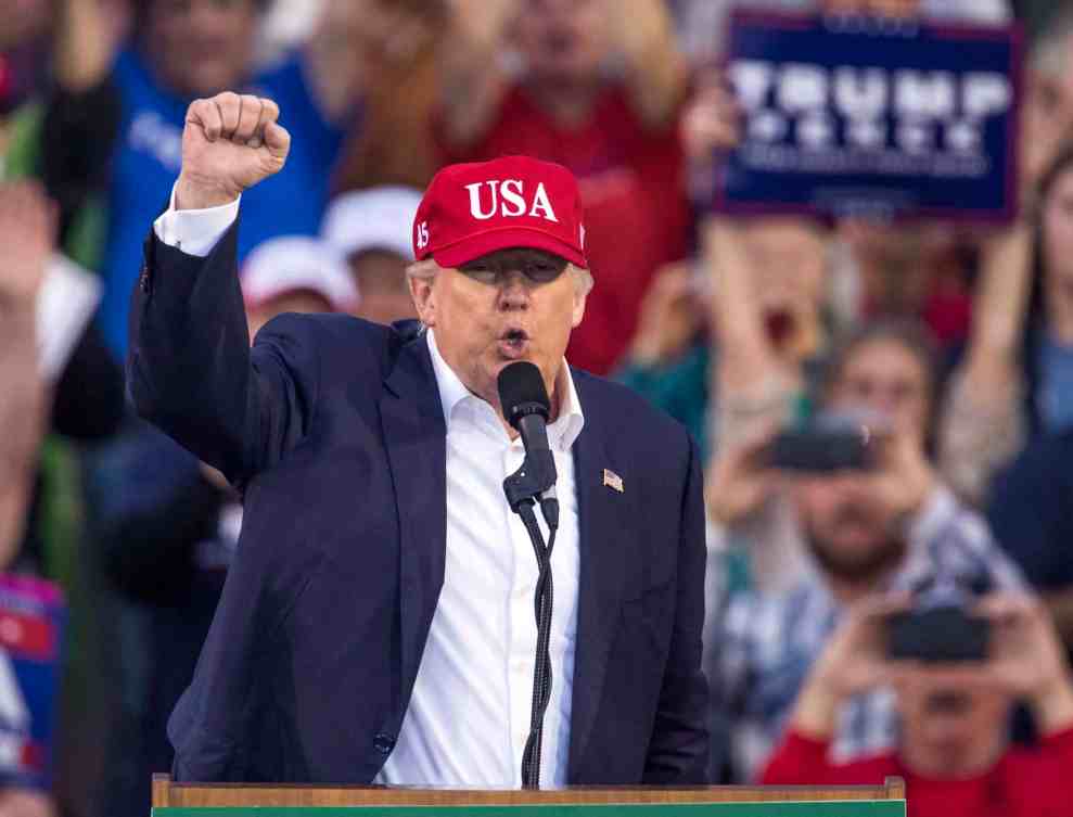 Donald Trump wearing USA hat at rally