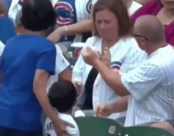 Chicago Cubs fan grabs ball from kid