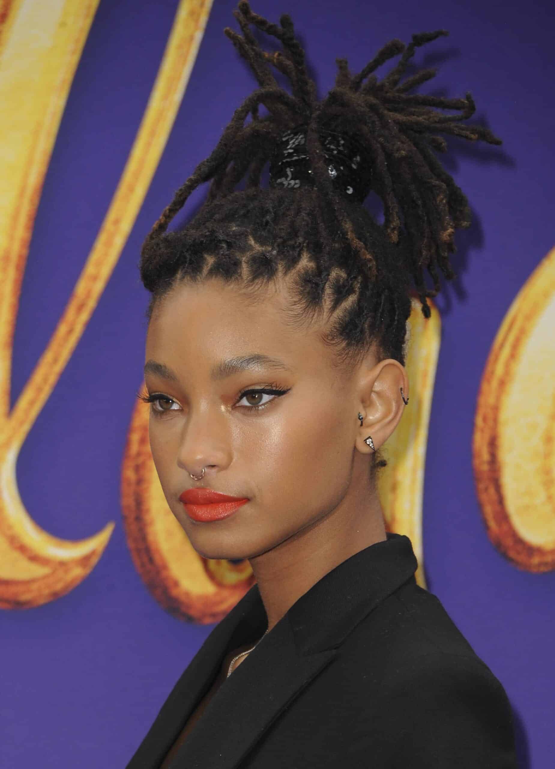 Willow Smith Granted Order Of Protection From Alleged Stalker - HOT 97